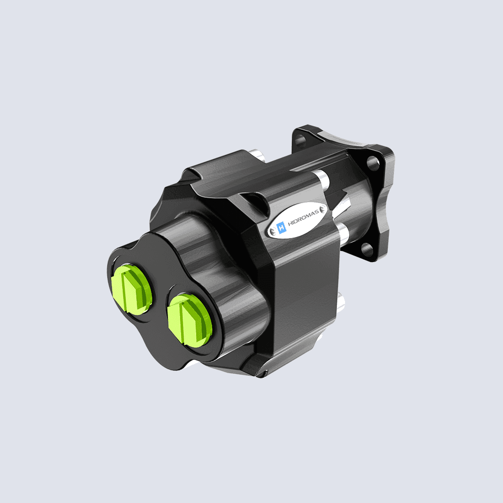 Gear Pump 105 Cc-Bi-Rotational Rear Port-4H (Dm)